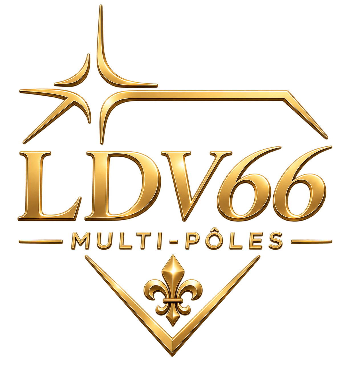 LDV66